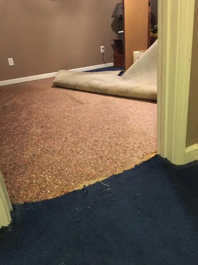 Carpet pad removal revealing water damage during Drying & Dehumidification in Belle Chasse