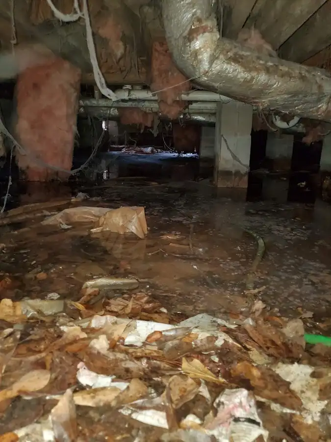 Crawl space flood assessment for Commercial Water Damage Restoration in Belle Chasse