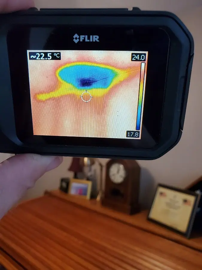 Thermal imaging inspection for water damage in Belle Chasse