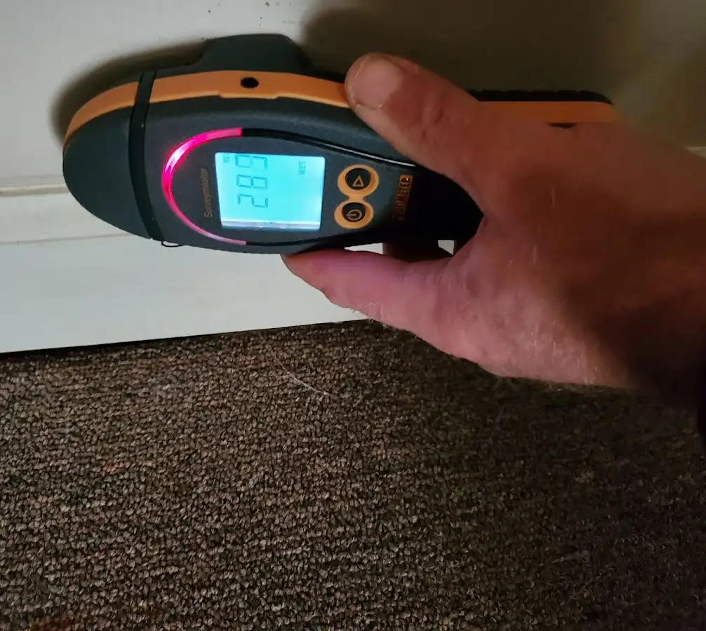 Moisture detection at baseboard during Sewage Cleanup & Sanitation in Belle Chasse